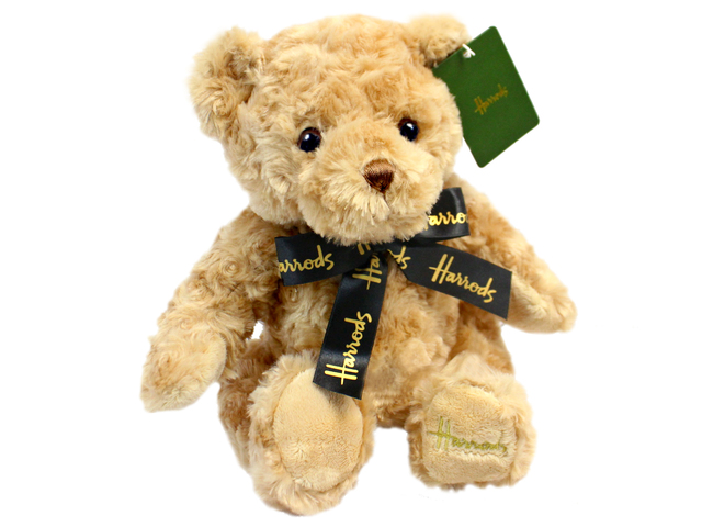 Teddy Bear n Doll - Harrods Bear Jacob Bear - L0173532 Photo